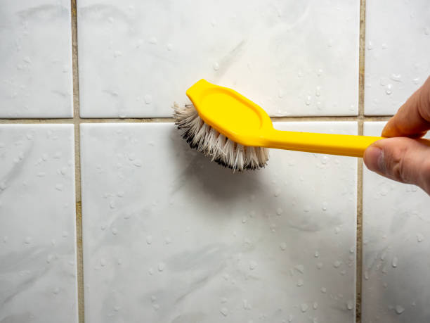 Best Water Damage Restoration  in White Marsh, MD