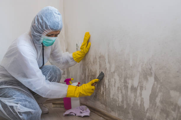 Water Damage Restoration in White Marsh, MD
