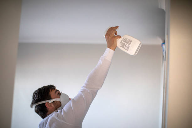 Best Crawl Space Mold Removal  in White Marsh, MD