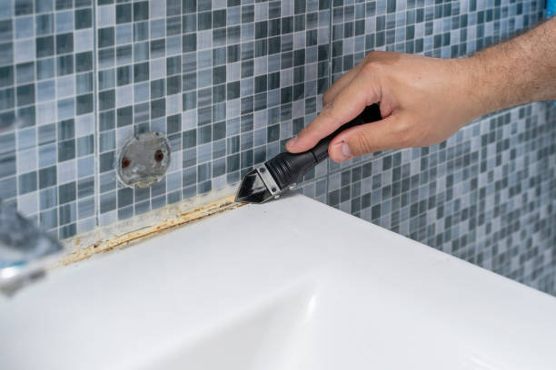 Best Same-Day Mold Removal  in White Marsh, MD